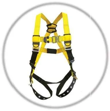 Fall protection harness
